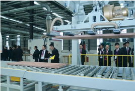 2014大自然木門經(jīng)銷商大會(huì)暨泰州新廠盛典 互聯(lián)網(wǎng)銷售戰(zhàn)略啟新篇